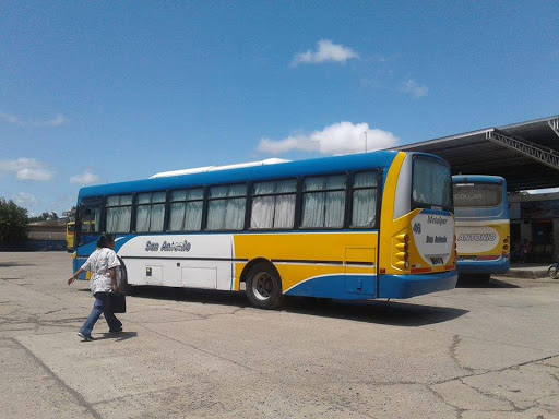 4B2AD9F3-1243-4C49-AE8B-8E94AE5E766C