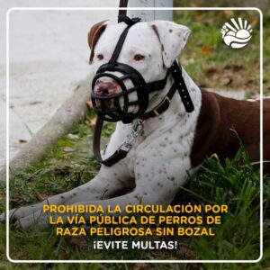 58A2AE5D-3843-4A4E-A8F9-6716E1481CBC