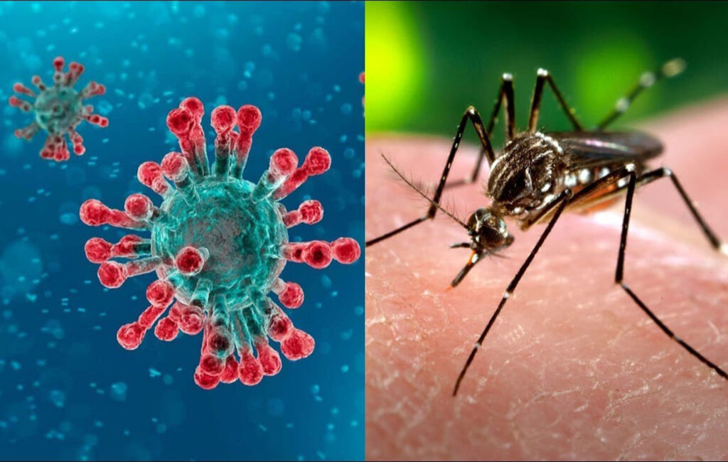 CORONAVIRUS DENGUE