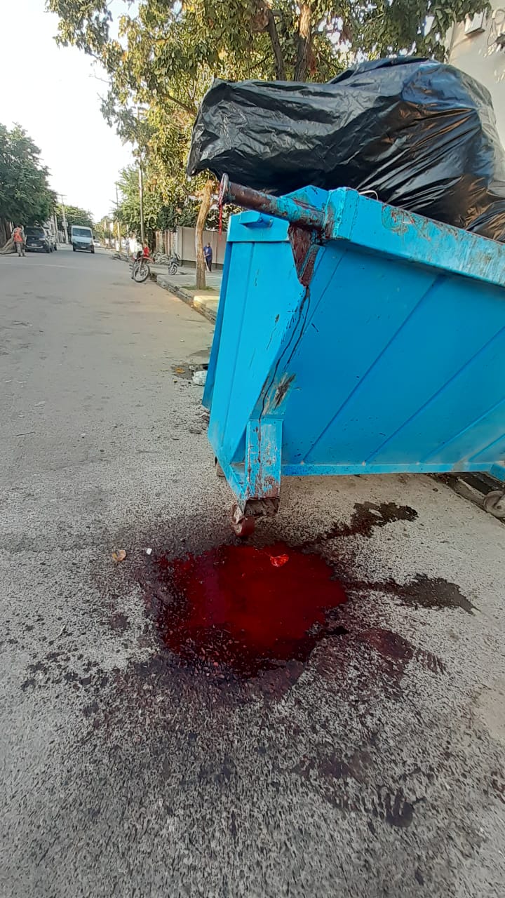 WhatsApp Image 2021-03-11 at 12.33.05