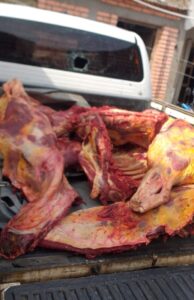 robo carne