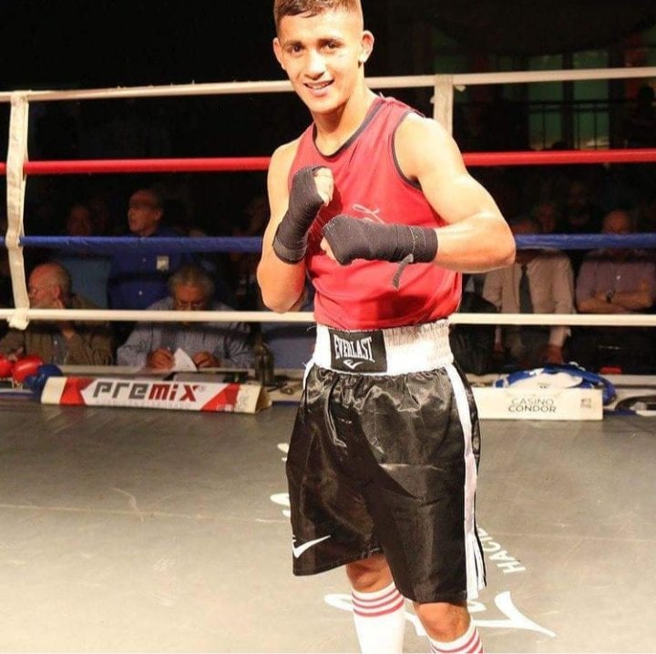 hormiga quiroga box oran