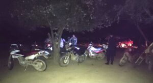 C36267B2-5EE0-445D-A7B5-52189745B328