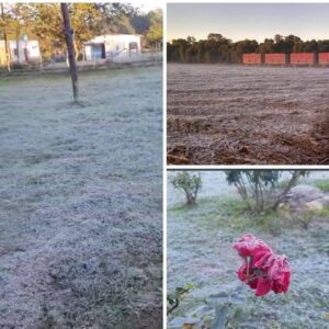 ORAN FRIO