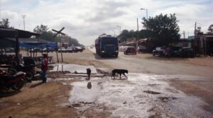 15988DB9-1A7E-48CE-8E50-5D0D4FF16628