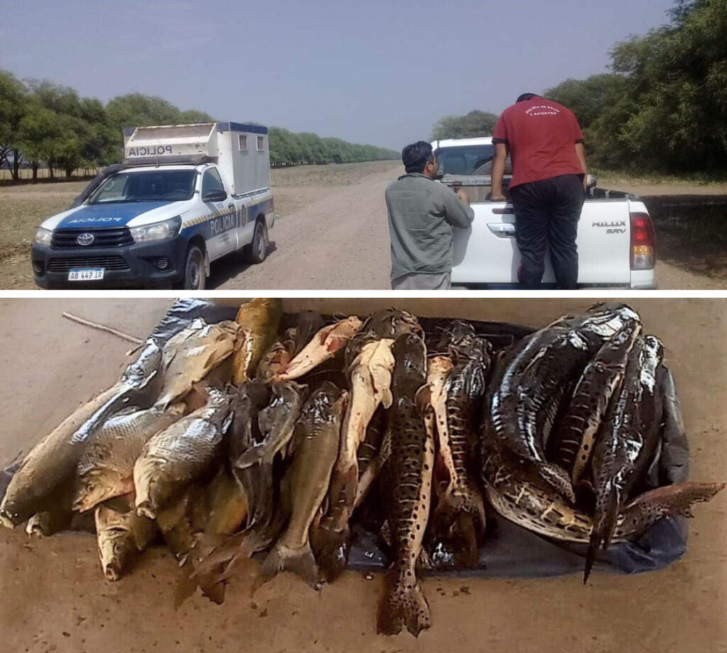 173FE3A8-DA48-4D5D-B3D4-44489415075E