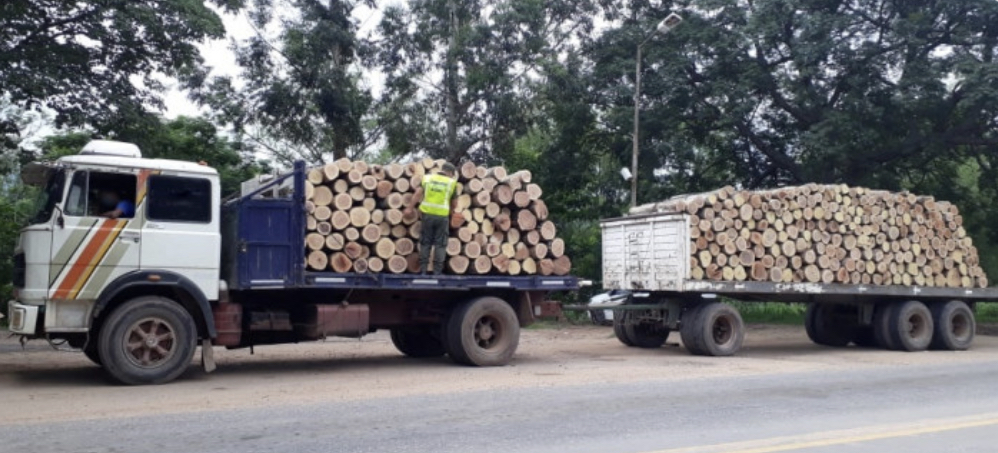 D1DF9062-EE06-42D3-88E4-97C3103DEB5B