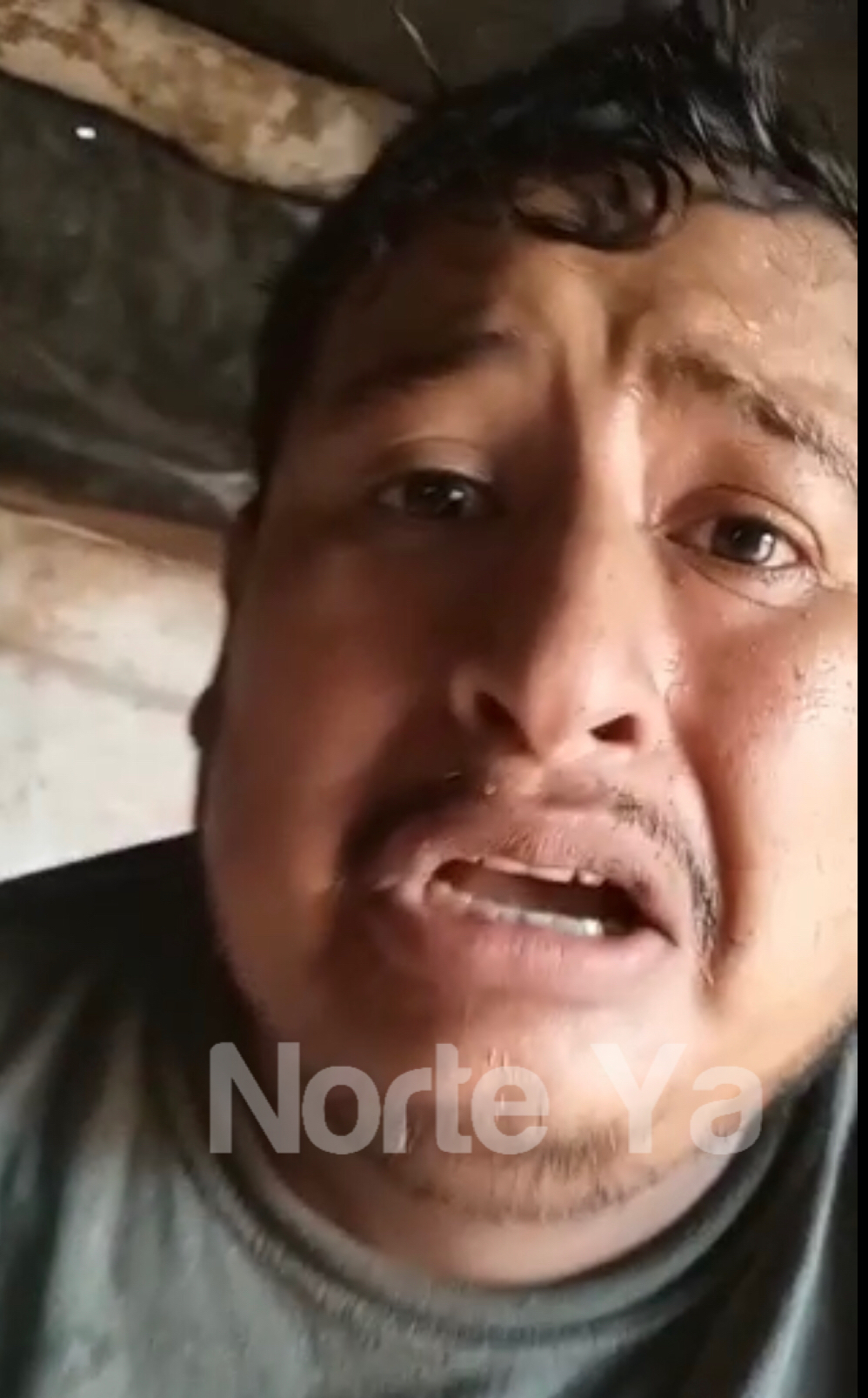 E82725AA-6F52-4709-AE0C-12306E394003