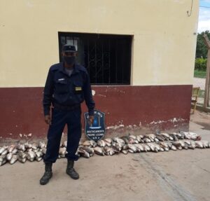 B77F865A-A64C-4C02-8D30-B344F6B87AFD