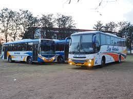 COLECTIVOS