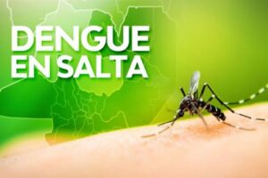DENGUE