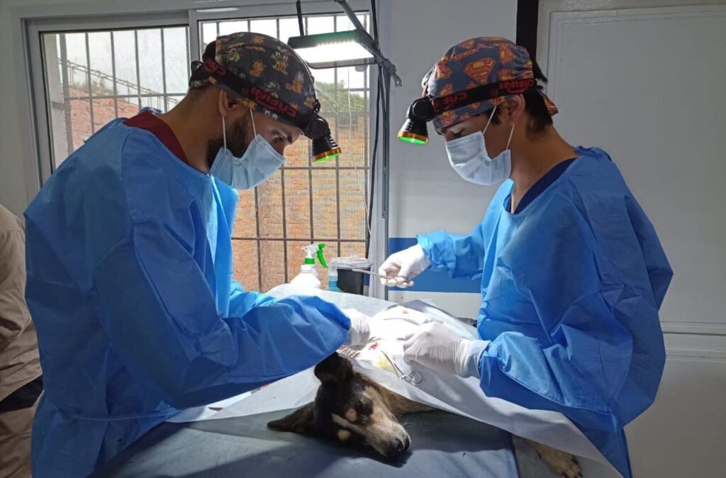 C3769BF5-030F-4D08-9282-C0AC4B9BE52A