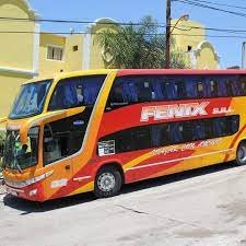 fenix colectivos