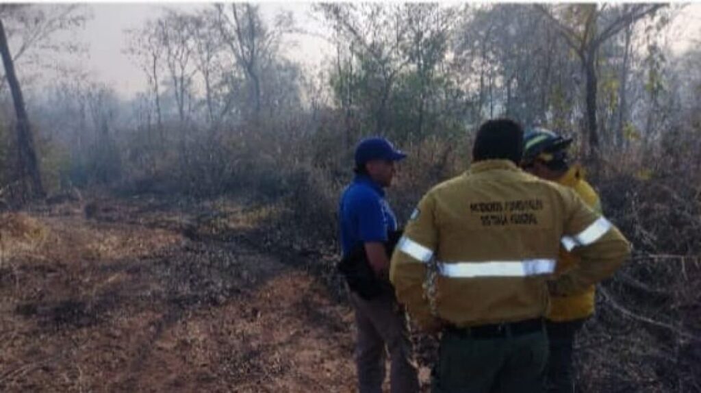 INCENDIOS FORESTALES
