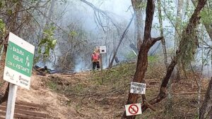 INCENDIO VIRGEN DE LA PEÑA