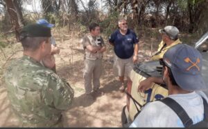 INCENDIOS FORESTALES