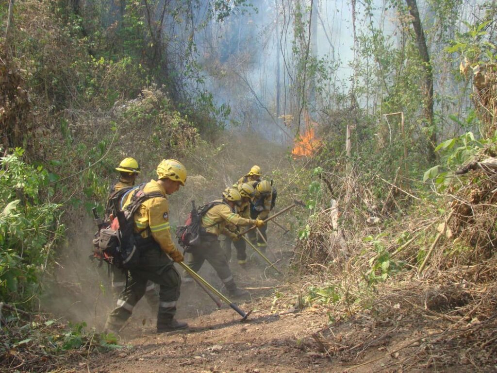 ORAN INCENIDIO FORESTAL