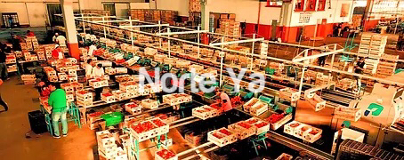 A839D404-3D4A-4A9D-A534-16259528820E