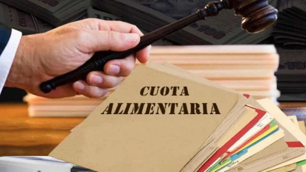 CUOTA ALIMENTARIA