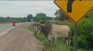 WhatsApp Image 2023-01-03 at 18.31.04