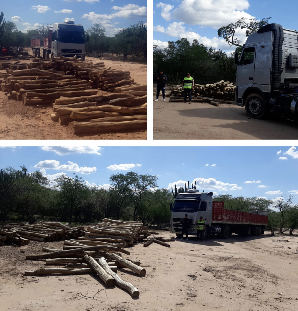 C0A05246-8B52-47A0-990C-834AF0FB56DC