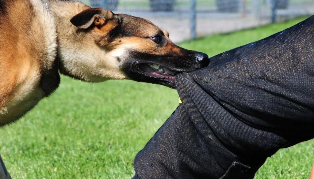 E9639480-B5EE-4310-BBCD-A20BB95EC63B