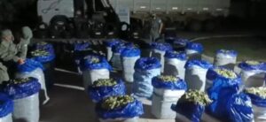 4D380470-CEFD-4B07-B3B1-CE6BCCF74558