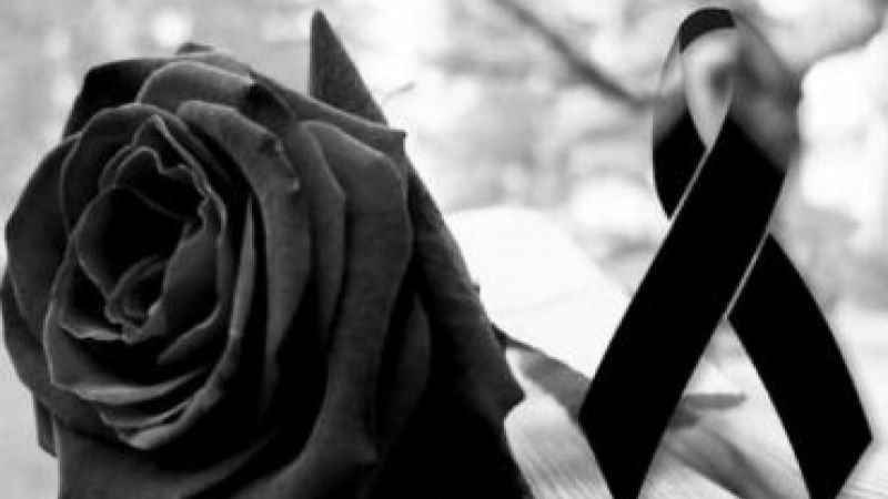 D53D7E05-ACFA-42F1-9CCE-45A774312851