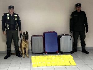 5798647D-FEC8-4D6C-9EE3-59DBF7991C56