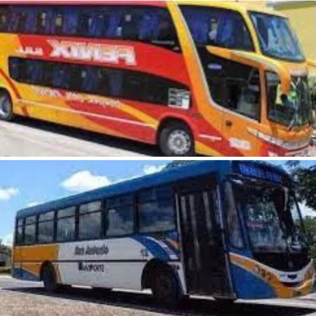 colectivos