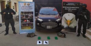 78B50926-C989-45E3-BCF4-B01556DA95DC