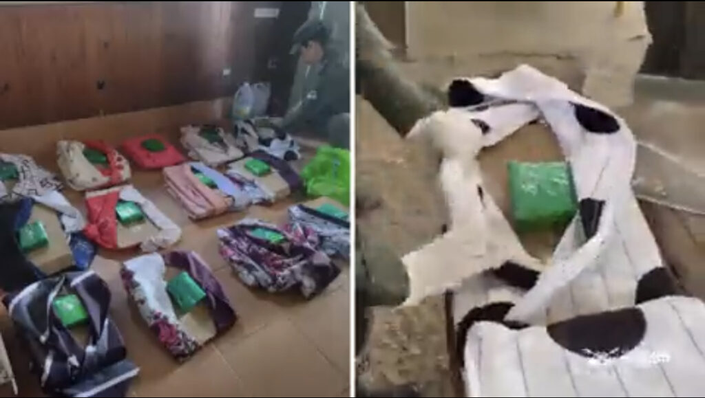 AACB8444-7C6C-4FCB-9C6C-74C90011E1F6