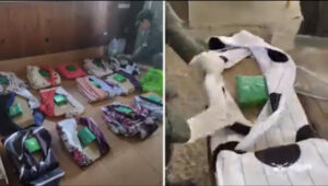 AACB8444-7C6C-4FCB-9C6C-74C90011E1F6