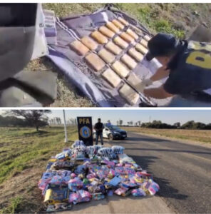 B3C9C406-C050-4751-987E-94653685281B