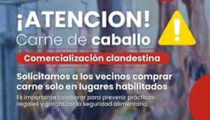 CARNE DE CABALLO