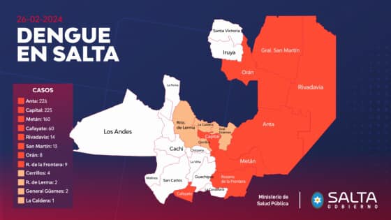 DENGUE SALTA