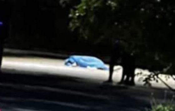 deed1a90-68f2-4738-831c-34f1f6f8d44f