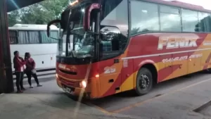 COLECTIVO