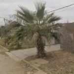 Orán: Pareja a juicio por una tentativa de homicidio en un hotel alojamiento