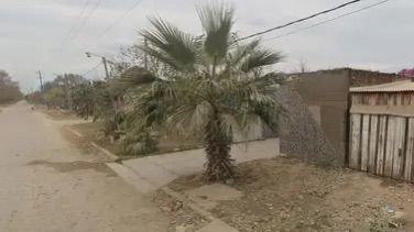 WhatsApp Image 2026-04-15 at 23.24.47