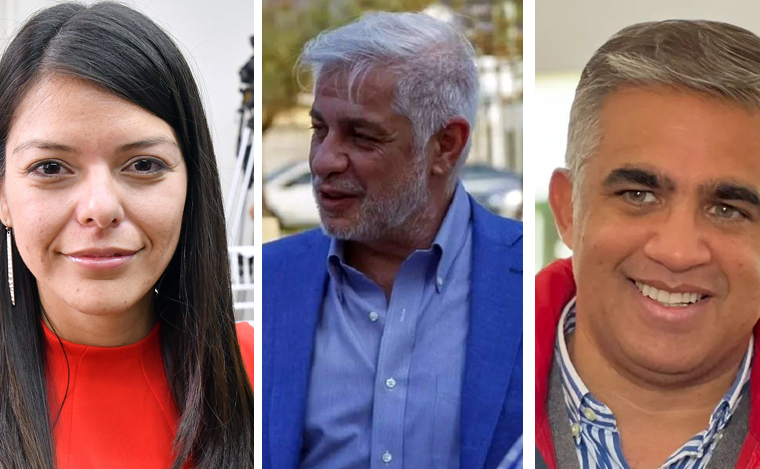 DIPUTADOS