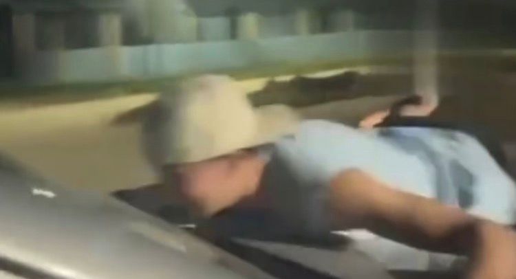 WhatsApp Image 2026-04-28 at 13.03.49