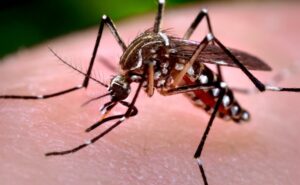 CHIKUNGUNYA