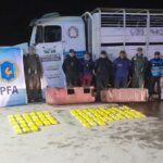 71 kilos de cocaína dentro de tanque de combustible de un transporte de cargas