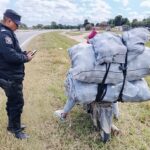 Orán: Demorado por robar cítricos de una finca