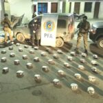Fuga, persecución y droga en Orán: secuestran más de 50 kilos de marihuana