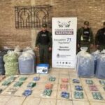 Secuestran 457 kilos de hojas de coca en la camioneta que provocó un trágico siniestro vial