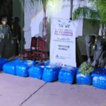 Salieron de Orán con 768 kilos de hojas de coca en un tour de compras