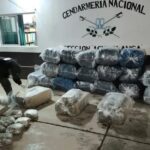 Secuestraron más de 50 kilos de marihuana y 345 kilos de hojas de coca