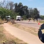 Murió un sargento de la Policía tras chocar con un tráiler en Colonia Santa Rosa